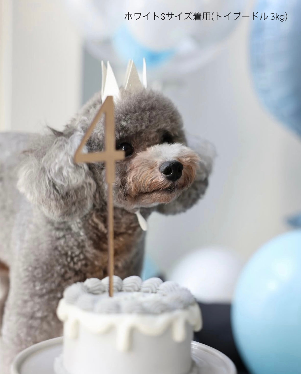 ｸﾞﾘｯﾀｰｸﾗｳﾝ/feefee　クリックポスト全国一律300円